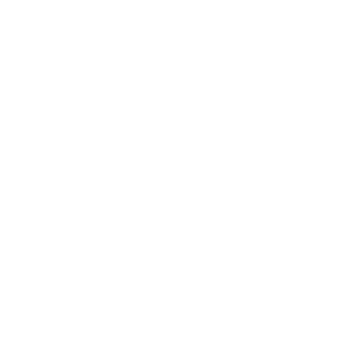 dollar icon